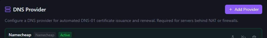 DNS Provider section — configured provider card showing name, type chip, and active status, with an Add Provider button to add additional providers